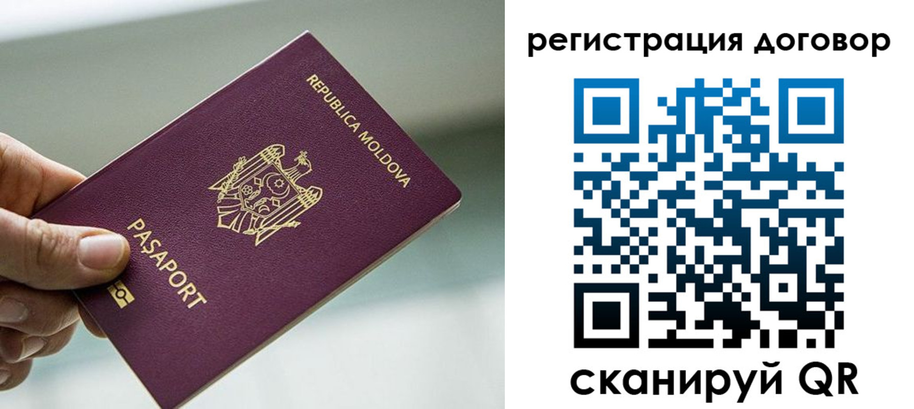 прописка в квартире в Бородино